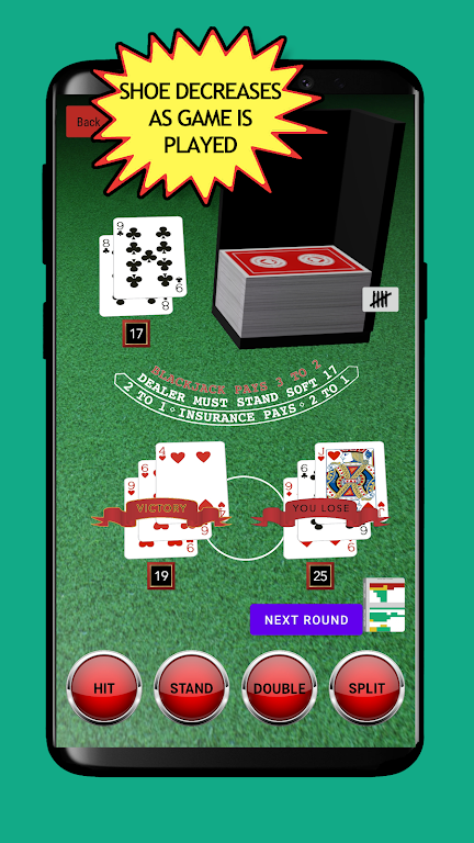 Blackjack Card Counting Screenshot4