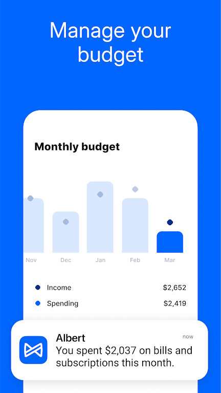 Albert: Budgeting and Banking Screenshot3