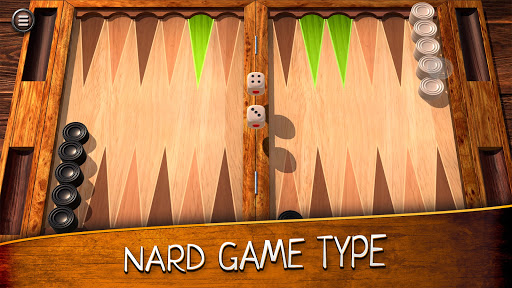 Backgammon Screenshot2