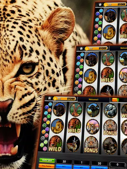 Cheetah Slots Safari Screenshot1