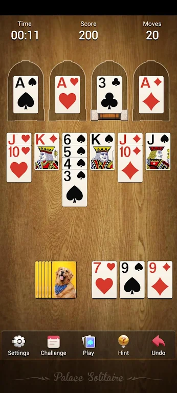 Palace Solitaire - Card Games Screenshot4