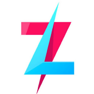 Zebras VPN - Speed & security APK