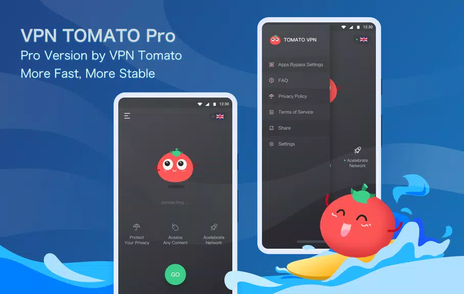 VPN Tomato Pro:  Fast & Stable & Unblock VPN Proxy Screenshot1