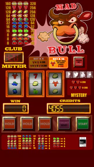 Mad Bull slot machine Screenshot4