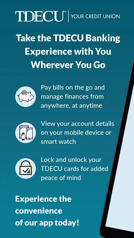 TDECU Digital Banking Screenshot1