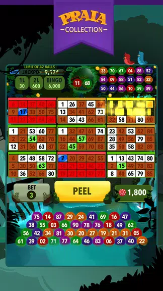 Video Bingo Ubatuba Screenshot2