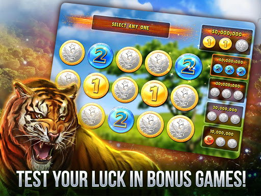 Casino Games Slot Machines Screenshot3