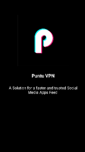 Puntu VPN Screenshot3