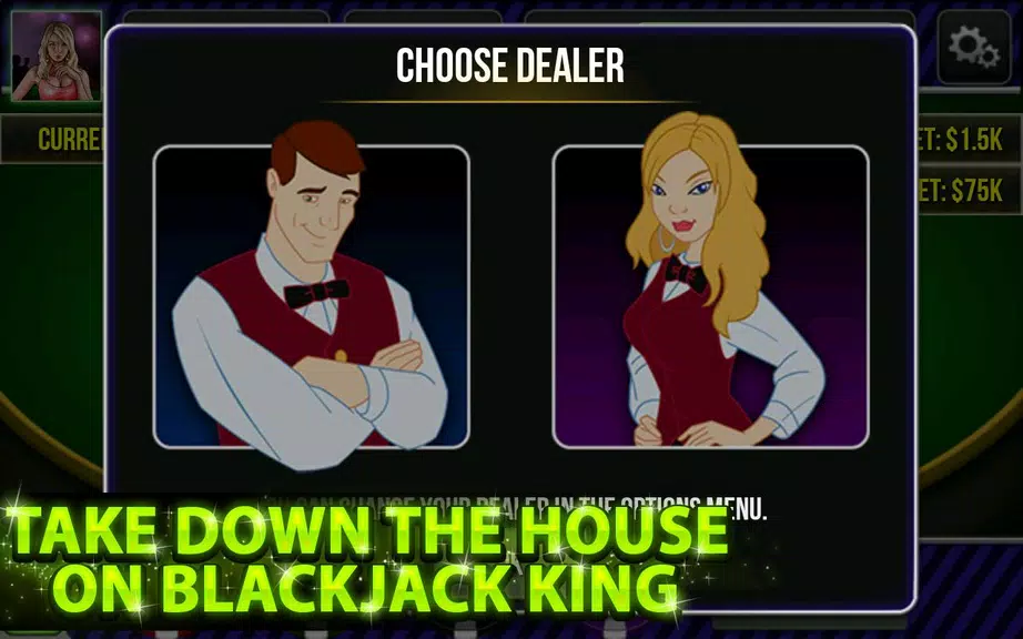 Blackjack King Screenshot2