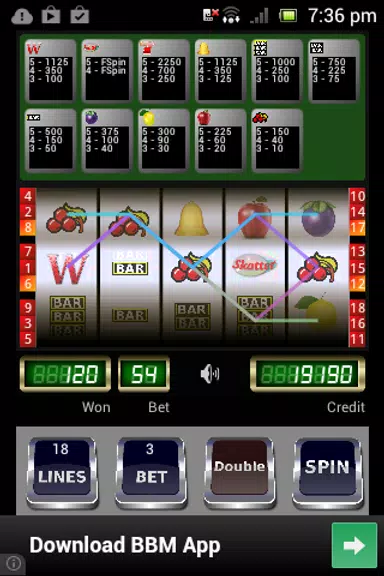 Wild Scatter Slot Machine Screenshot2