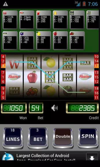 Wild Scatter Slot Machine Screenshot3