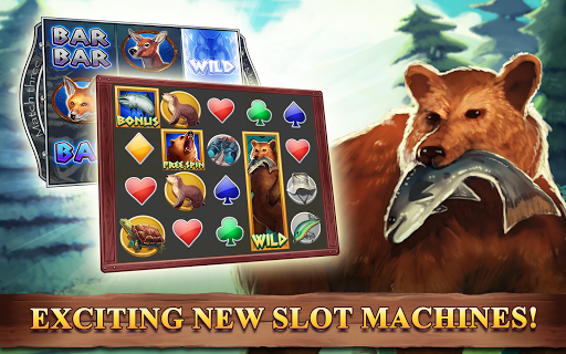 Slots Big Bear Free Slots Game Screenshot3