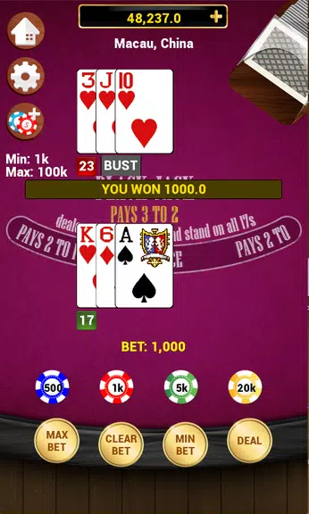 Blackjack 21 - Classic Screenshot3