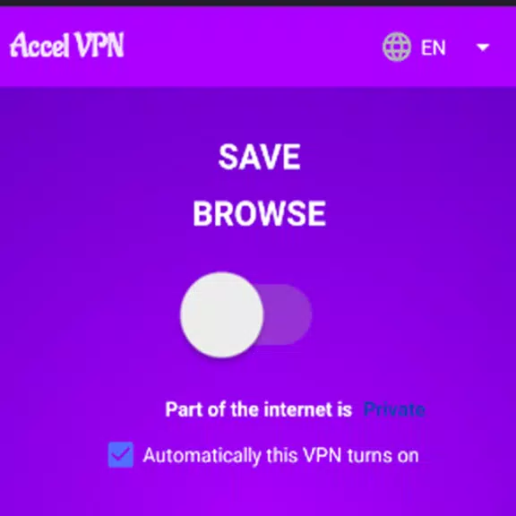 Accel VPN Screenshot2