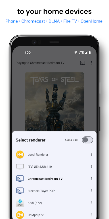 BubbleUPnP for DLNA/Chromecast Mod Screenshot2