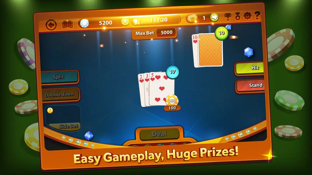 Blackjack Professional Screenshot2