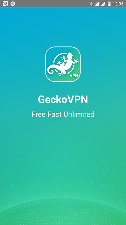 GeckoVPN Screenshot1