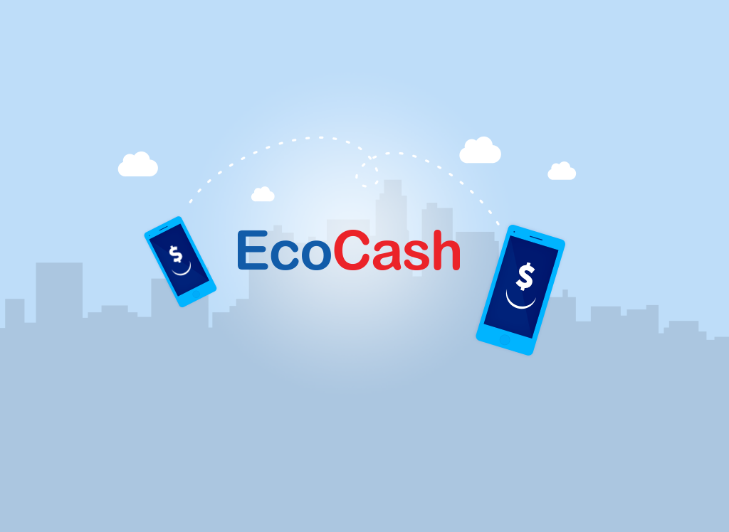 EcoCash (Data App) Screenshot3