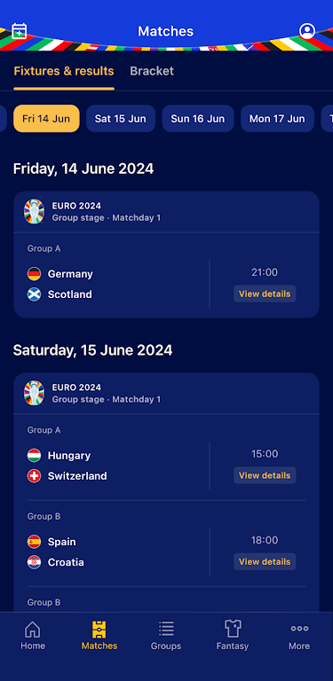 UEFA EURO 2024 Official Screenshot1