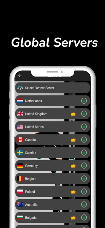 VPNEverywhere: Fast VPN Proxy Screenshot2