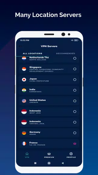 SecretId VPN - Secure and Priv Screenshot2