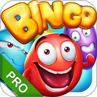 Bingo - Pro Bingo Crush™ APK