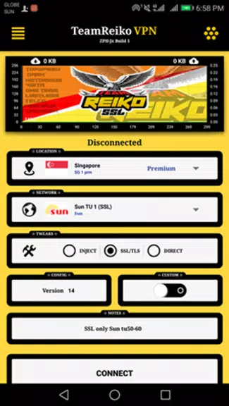 TeamReiko SSL VPN Screenshot2