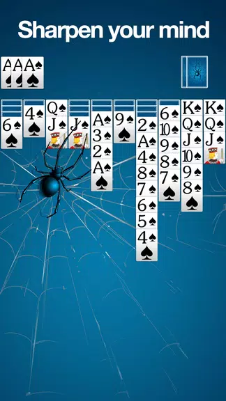 Spider Solitaire: Large Cards! Screenshot3