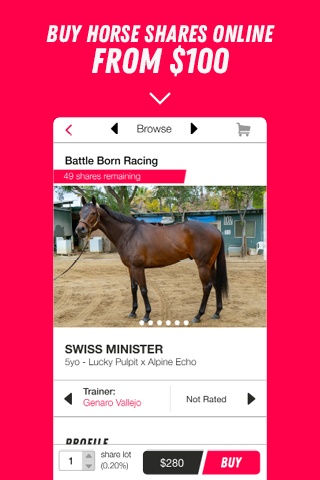 MyRacehorse Screenshot4