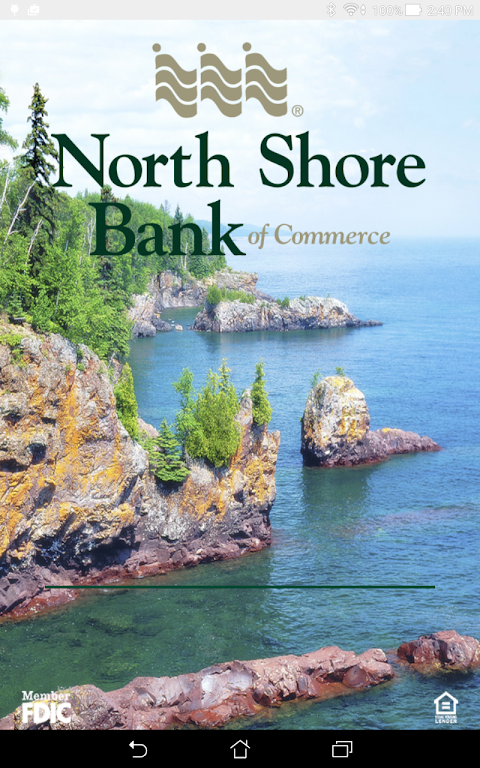 North Shore Bank of Commerce Screenshot3