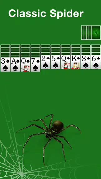 Spider Solitaire: Large Cards! Screenshot2