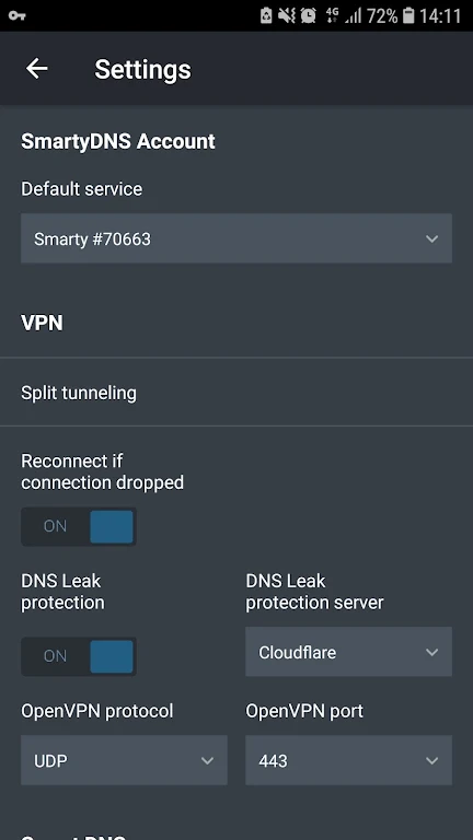 SmartyDNS - VPN and Smart DNS Screenshot3