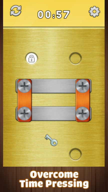 Screw Puzzle:Nuts & Bolts Screenshot3