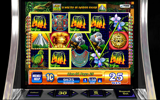 Jungle Wild - HD Slot Machine Screenshot3