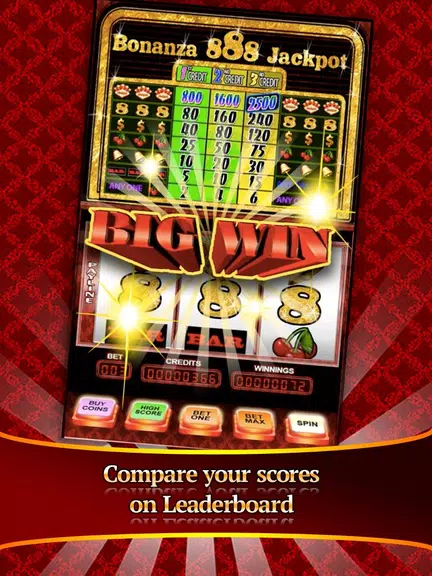 SLOTS-Bonanza 888 FREE CASINO Screenshot2