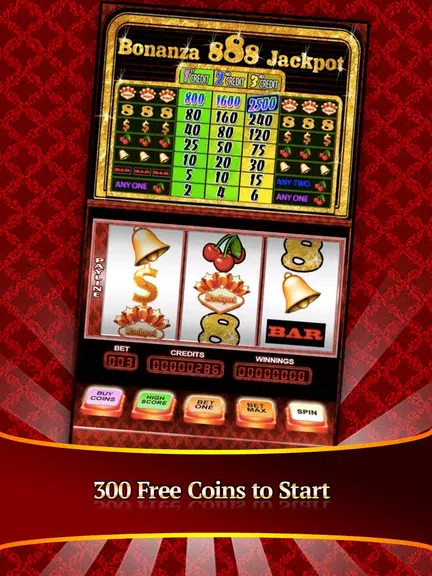 SLOTS-Bonanza 888 FREE CASINO Screenshot1