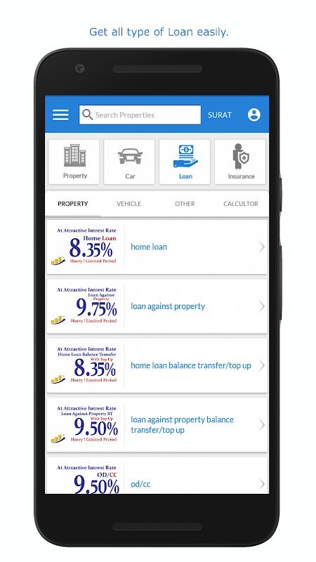 Bank Loan Provider Screenshot1