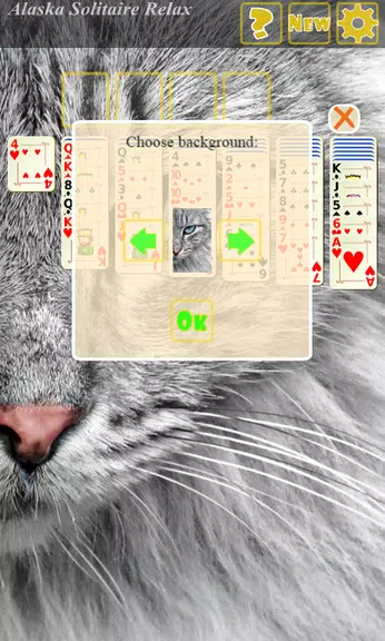 Alaska Solitaire Relax Screenshot2