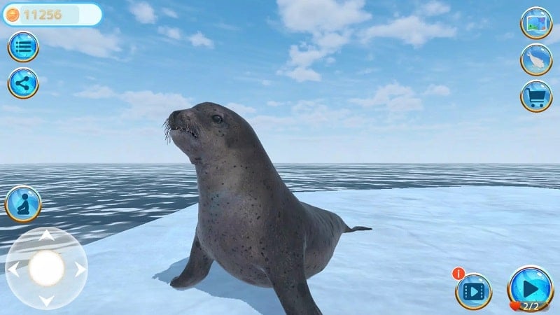 Seal Island Screenshot2