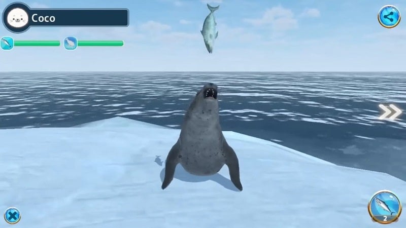 Seal Island Screenshot4