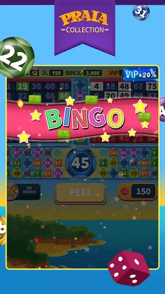 Video Bingo Pipa Screenshot3