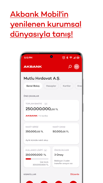 Akbank Screenshot3