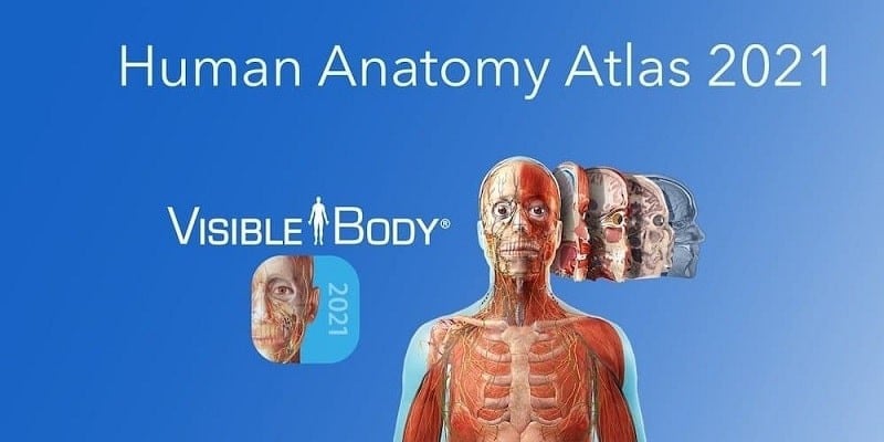 Human Anatomy Atlas 2021 Screenshot1