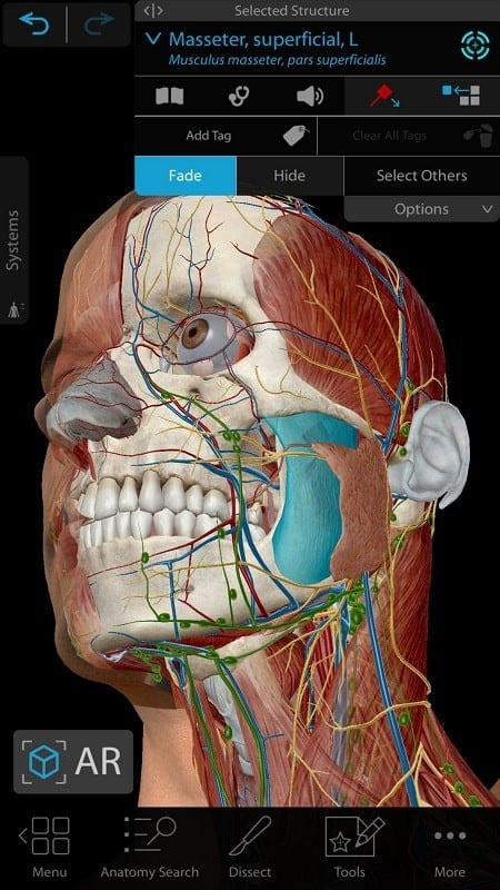 Human Anatomy Atlas 2021 Screenshot2