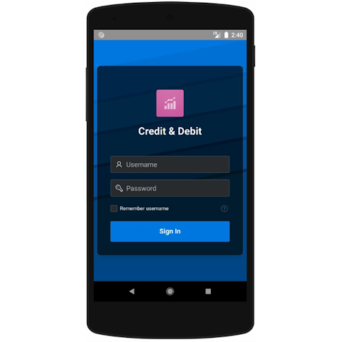 Credit Debit Screenshot1