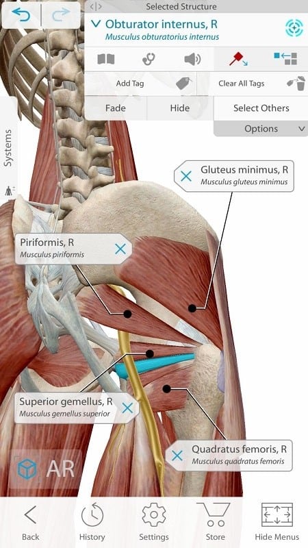 Human Anatomy Atlas 2021 Screenshot4