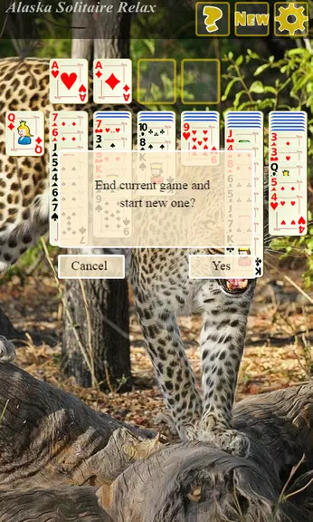 Alaska Solitaire Relax Screenshot3