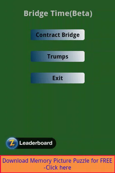 Bridge Challenge Screenshot3