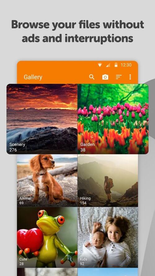 Simple Gallery Pro Screenshot1