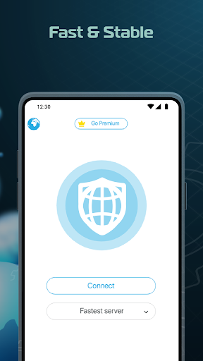 Your VPN: Secure Connection Screenshot3